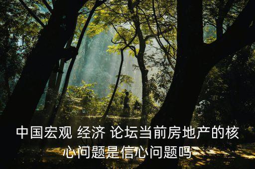 中國宏觀 經(jīng)濟(jì) 論壇當(dāng)前房地產(chǎn)的核心問題是信心問題嗎