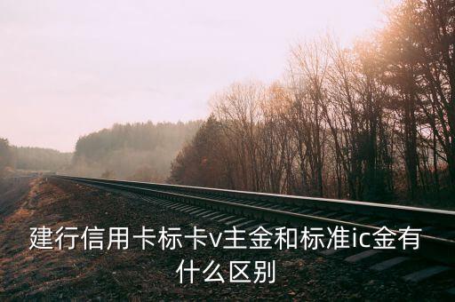 建行信用卡標卡v主金和標準ic金有什么區(qū)別