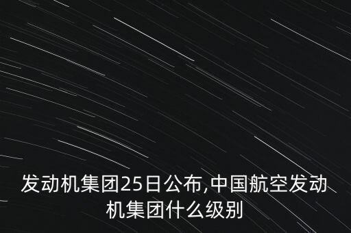 航空發(fā)動機(jī)集團(tuán)25日公布,中國航空發(fā)動機(jī)集團(tuán)什么級別