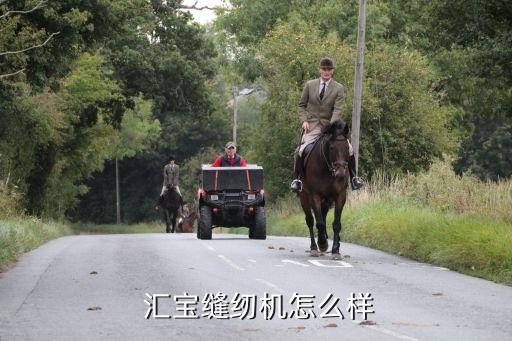 山東匯寶集團(tuán)股份有限公司,山東羅欣藥業(yè)集團(tuán)股份有限公司