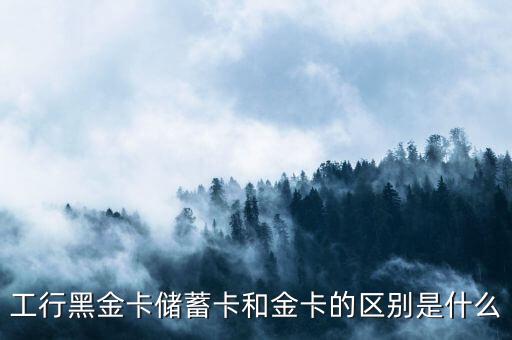 工行黑金卡儲(chǔ)蓄卡和金卡的區(qū)別是什么