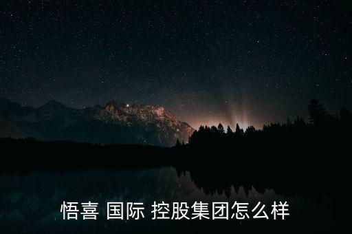 悟喜 國際 控股集團(tuán)怎么樣