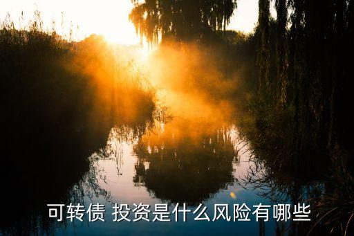  可轉(zhuǎn)債 投資是什么風(fēng)險(xiǎn)有哪些