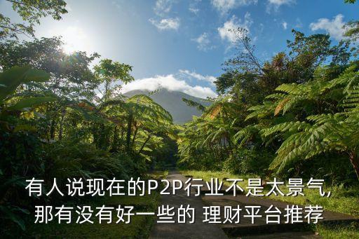 有人說現(xiàn)在的P2P行業(yè)不是太景氣,那有沒有好一些的 理財(cái)平臺推薦