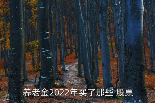  養(yǎng)老金2022年買了那些 股票