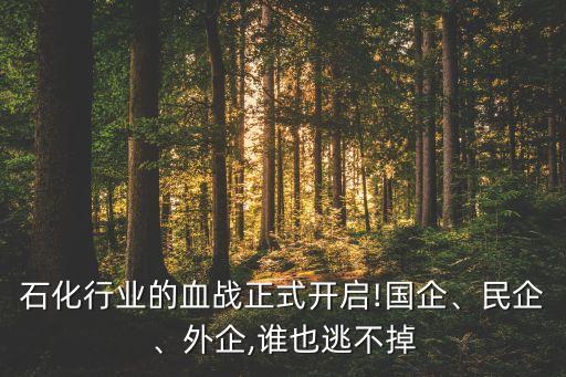 石化行業(yè)的血戰(zhàn)正式開(kāi)啟!國(guó)企、民企、外企,誰(shuí)也逃不掉