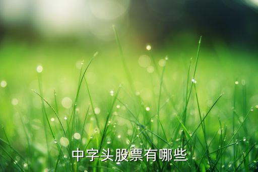 中直股份是什么公司,韋爾股份是什么公司