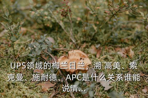 UPS領(lǐng)域的梅蘭日蘭、溯 高美、索克曼、施耐德、APC是什么關(guān)系誰能說清...