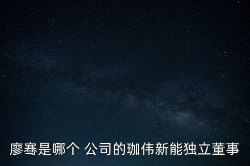 廖騫是哪個(gè) 公司的珈偉新能獨(dú)立董事