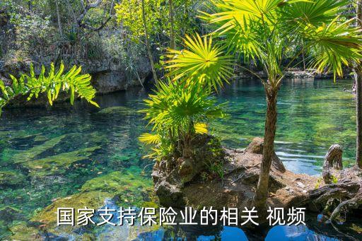 保險(xiǎn)公司培訓(xùn)視頻,參加保險(xiǎn)公司培訓(xùn)心得