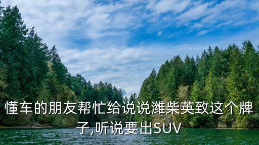 懂車的朋友幫忙給說(shuō)說(shuō)濰柴英致這個(gè)牌子,聽說(shuō)要出SUV