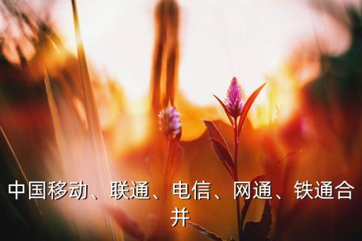 中國移動、聯(lián)通、電信、網(wǎng)通、鐵通合并