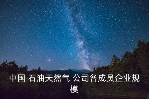 中國 石油天然氣 公司各成員企業(yè)規(guī)模