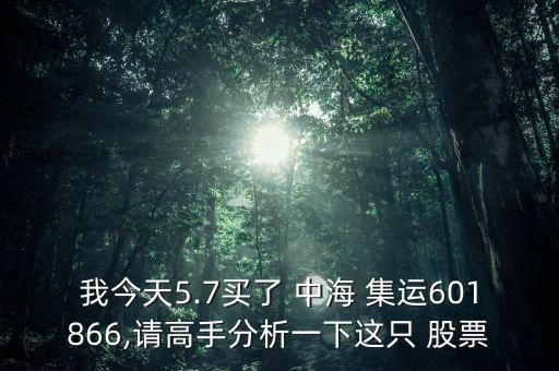 中海集運(yùn)股票何時(shí)復(fù)牌,6001866中海集運(yùn)股票