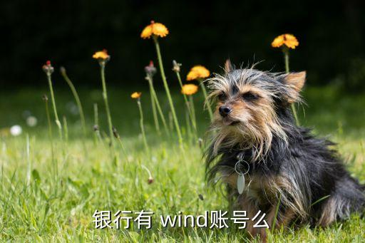 銀行有 wind賬號么