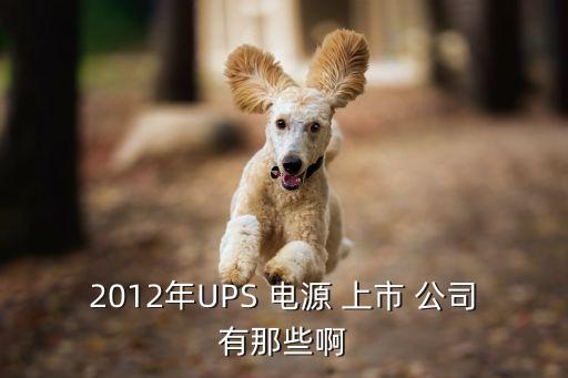 2012年UPS 電源 上市 公司有那些啊