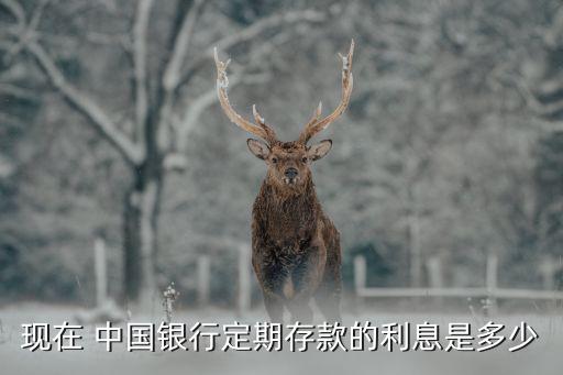 中國(guó)銀行死期多少錢(qián)