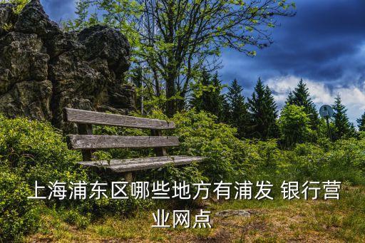  上海浦東區(qū)哪些地方有浦發(fā) 銀行營業(yè)網(wǎng)點(diǎn)