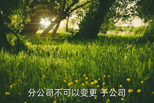 分支機(jī)構(gòu)轉(zhuǎn)讓子公司