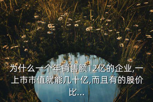 為什么一個(gè)年銷售額12億的企業(yè),一 上市市值就能幾十億,而且有的股價(jià)比...