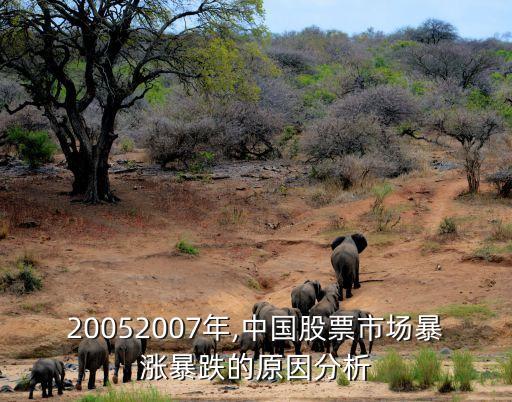 20052007年,中國股票市場暴漲暴跌的原因分析