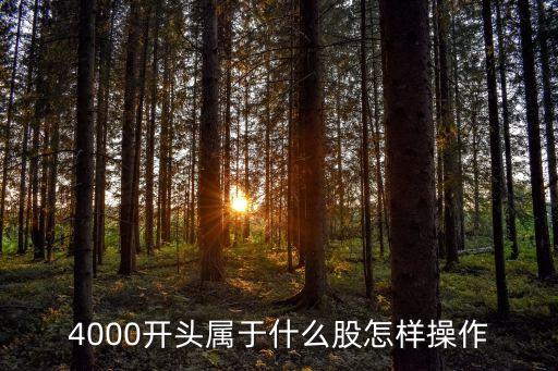 4000開頭屬于什么股怎樣操作