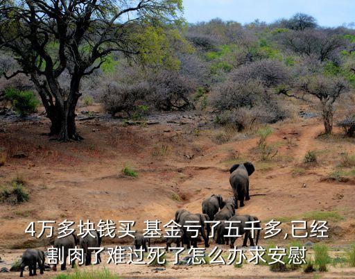 4萬多塊錢買 基金虧了五千多,已經(jīng)割肉了難過死了怎么辦求安慰