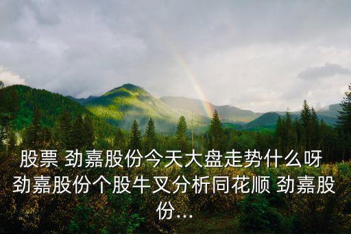 股票 勁嘉股份今天大盤走勢什么呀 勁嘉股份個(gè)股牛叉分析同花順 勁嘉股份...