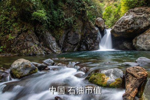 石油股票行情,中國(guó)海洋石油股票行情