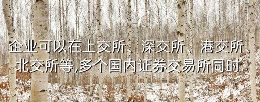 企業(yè)可以在上交所、深交所、港交所、北交所等,多個國內(nèi)證券交易所同時...