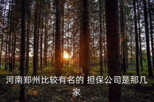 河南鄭州比較有名的 擔(dān)保公司是那幾家