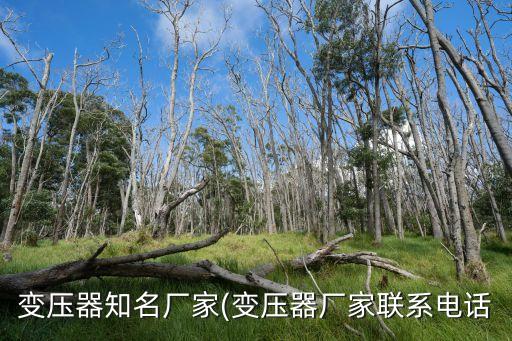 上海恒頻電氣有限公司,上海置恒電氣有限公司怎么樣