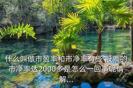 什么叫做市盈率和市凈率有些 股票的市凈率達2000多是怎么一回事呢請解...