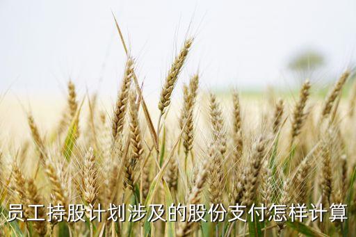 上市公司執(zhí)行企業(yè)會(huì)計(jì)準(zhǔn)則監(jiān)管問(wèn)題解答