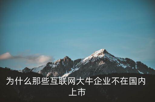 為什么那些互聯(lián)網(wǎng)大牛企業(yè)不在國(guó)內(nèi) 上市