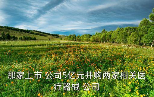 那家上市 公司5億元并購(gòu)兩家相關(guān)醫(yī)療器械 公司