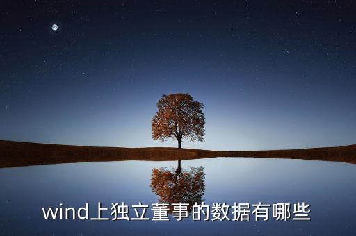 wind上獨立董事的數(shù)據(jù)有哪些