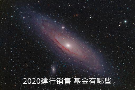 2020建行銷售 基金有哪些