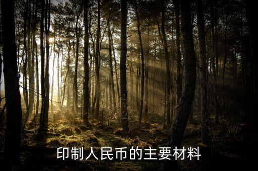 印制人民幣的主要材料