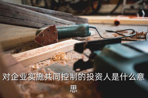 對企業(yè)實施共同控制的投資人是什么意思