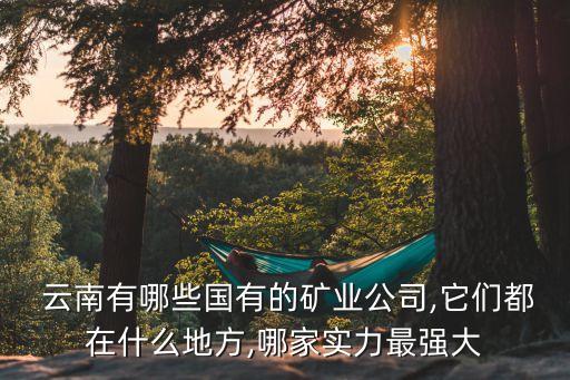  云南有哪些國有的礦業(yè)公司,它們都在什么地方,哪家實(shí)力最強(qiáng)大