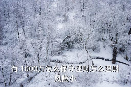 有 1000萬怎么保守理財(cái)怎么理財(cái)風(fēng)險(xiǎn)小