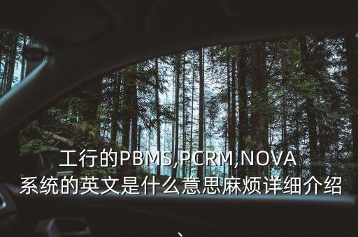 工行的PBMS,PCRM,NOVA 系統(tǒng)的英文是什么意思麻煩詳細(xì)介紹、