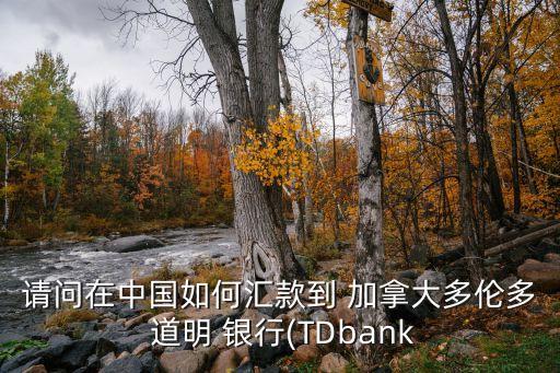 請(qǐng)問(wèn)在中國(guó)如何匯款到 加拿大多倫多 道明 銀行(TDbank