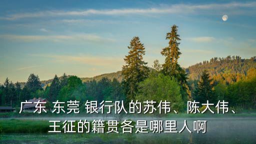 廣東 東莞 銀行隊(duì)的蘇偉、陳大偉、王征的籍貫各是哪里人啊