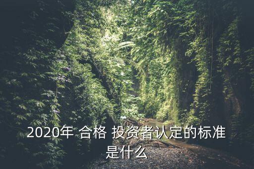 2020年 合格 投資者認(rèn)定的標(biāo)準(zhǔn)是什么