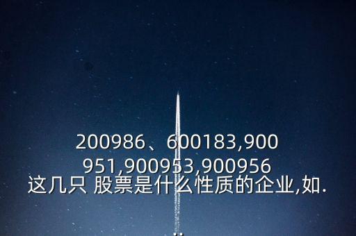 200986、600183,900951,900953,900956這幾只 股票是什么性質(zhì)的企業(yè),如...