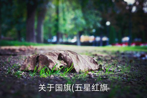 關于國旗(五星紅旗