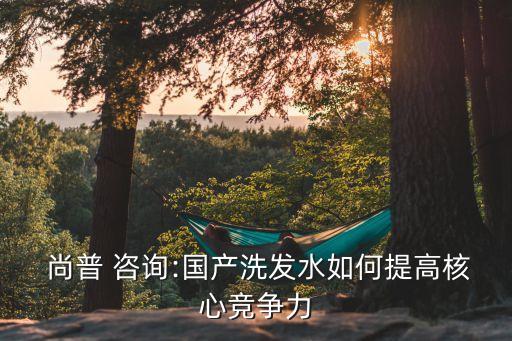  尚普 咨詢:國(guó)產(chǎn)洗發(fā)水如何提高核心競(jìng)爭(zhēng)力