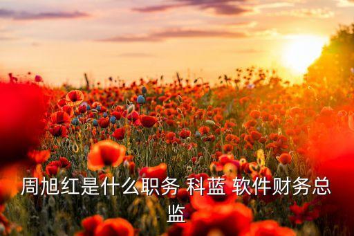 周旭紅是什么職務(wù) 科藍 軟件財務(wù)總監(jiān)